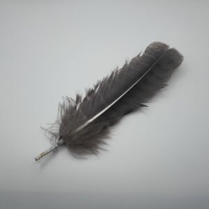 Ritual Feather