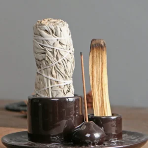 Palo Santo – (2 Pieces)